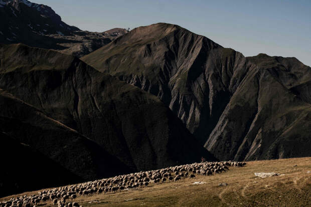 Жизнь пастуха в Альпах
