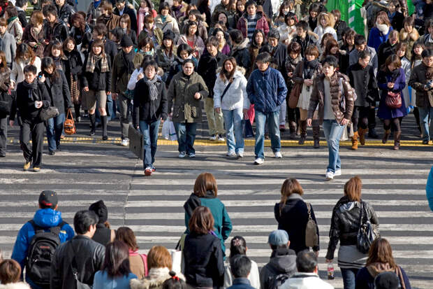 Ученые заявили о перенаселении Земли