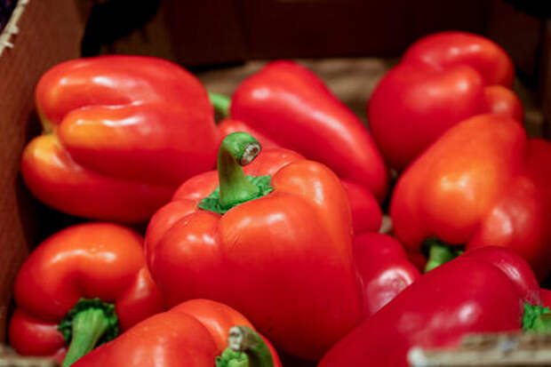 В Краснодаре выявили продукт из Ирана с опасным вредителем. Товар не стали отправлять обратно