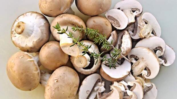 Врач Таран: добирать белок в питании грибами — бессмысленно