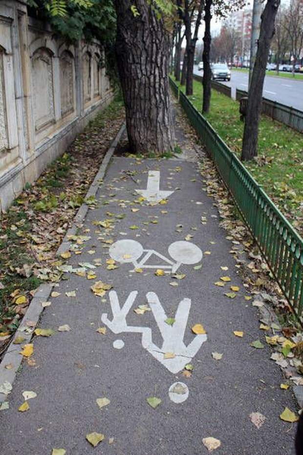 Прикольные картинки Прикольные картинки