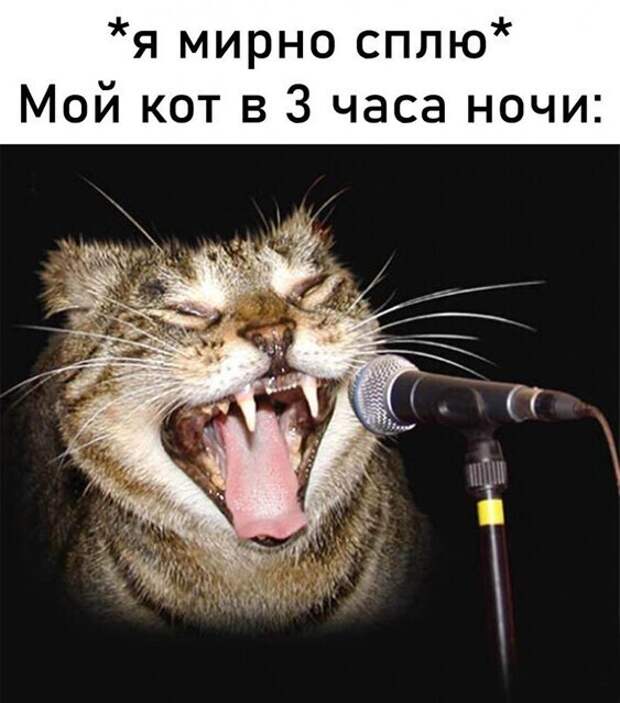 23 фото, глядя на которые, можно сказать: бывает же такое!