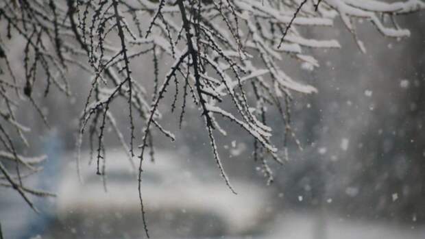 Синоптики рассказали о погоде на 4 января в Алтайском крае