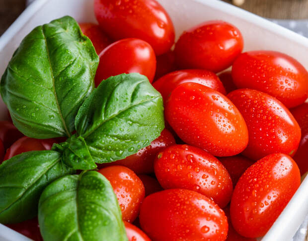 Помидор - лучшая защита от депрессии и продукт противораковой диеты: для чего есть этот овощ?