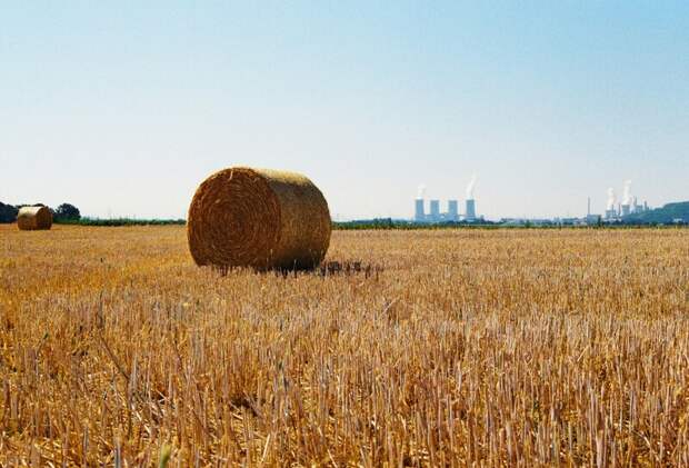 Российские ученые разработали систему полигенерации для производства трех видов энергии из отходов