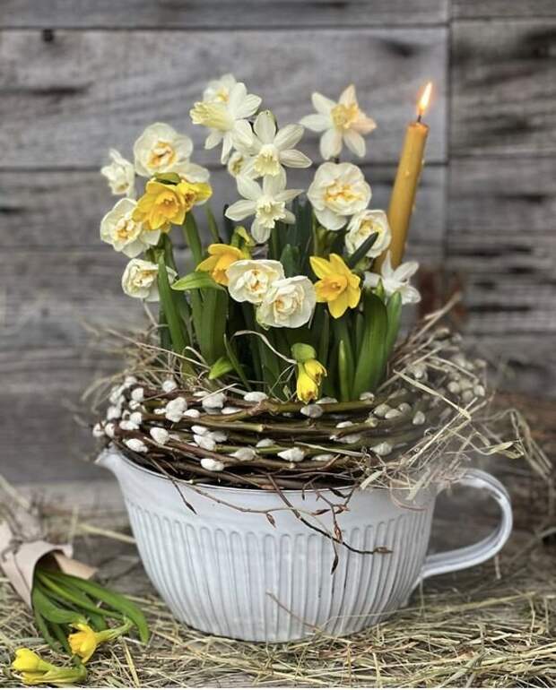 Фото из открытых источников интернета.