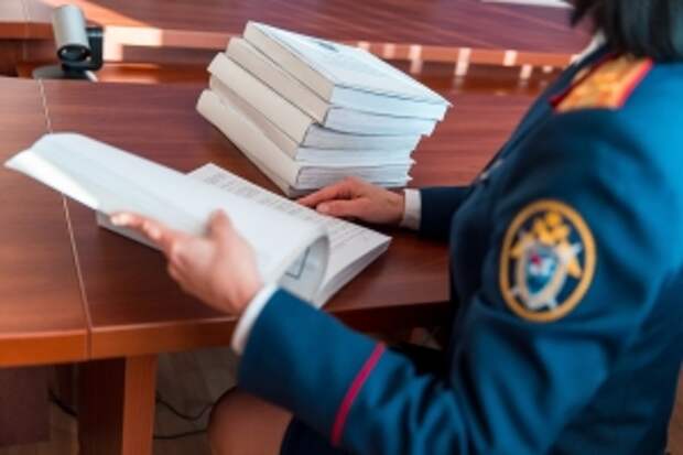 Председатель СК России поручил доложить о ходе расследования уголовного дела об убийстве москвичом своего соседа
