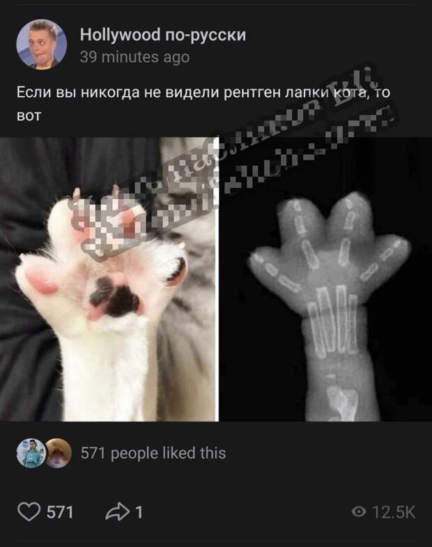 Детский сад с его рисунками