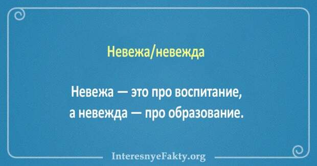 10 пар слов, значения которых постоянно путают