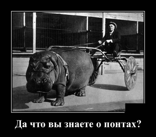 Демотиваторы (30 фото)