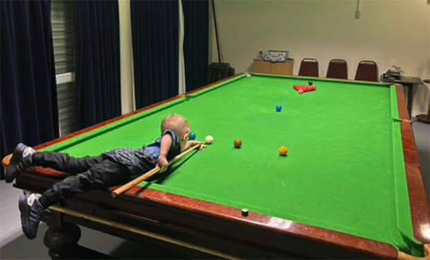Двухлетний гений стал чемпионом мира по бильярду. Играет лучше чем ходит