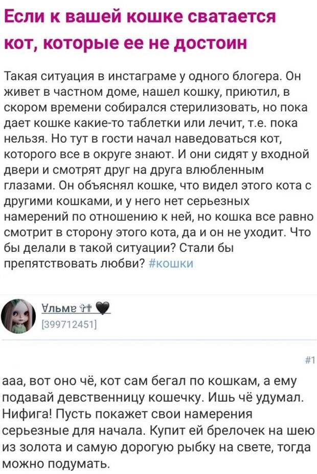 Безумные истории с женских форумов