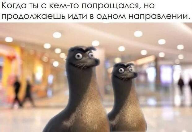Про коллег