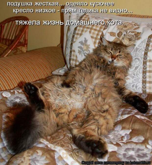 Мысли вслух :)
