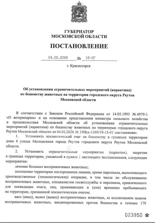 В Реутове ввели карантин по бешенству
