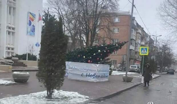 Еще одна новогодняя елка рухнула в Ростове-на-Дону из-за ураганного ветра 15 января