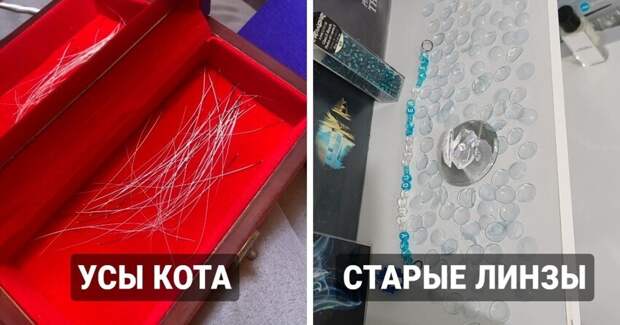 Порой люди коллекционируют очень странные вещи