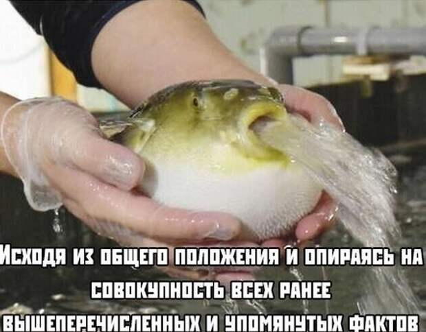 На защите диплома На защите диплома