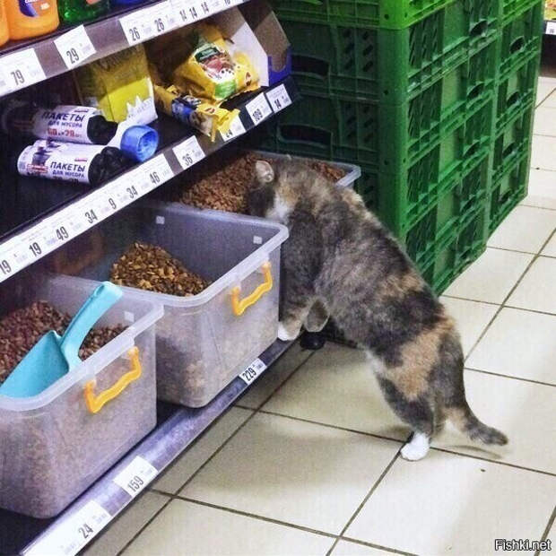 5b3cc973f4e4ad868c6f20ce24493105 (600x600, 279Kb)