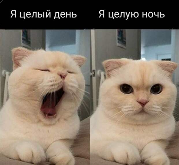 Подборка прикольных картинок