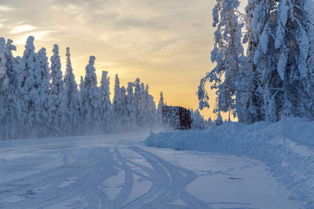 SHOT: волонтеры прекратили поиски экс-спецназовца, пропавшего как Усольцевы