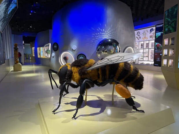 Гости "Биокластера" на ВДНХ могут познакомиться с удивительным миром насекомых