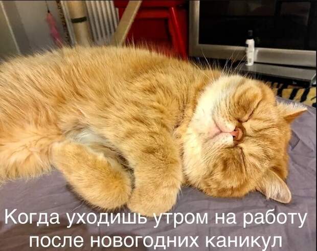 Классическое утро 11 января Классическое утро 11 января