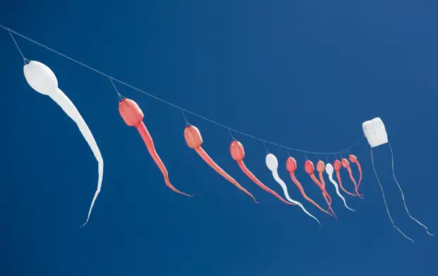 Тревожную проблему у мужчин в России озвучил эндокринолог: Ухудшение в два раза