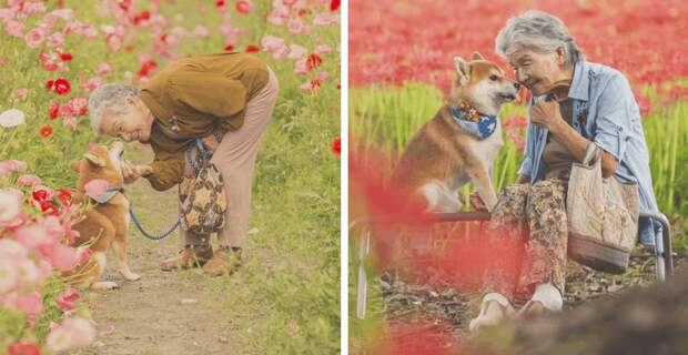 Фотограф из Японии делает трогательные снимки своей бабушки и собаки