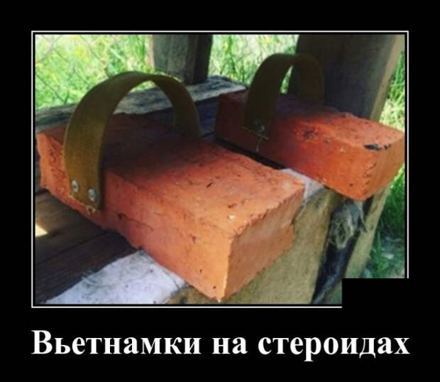 Демотиваторы