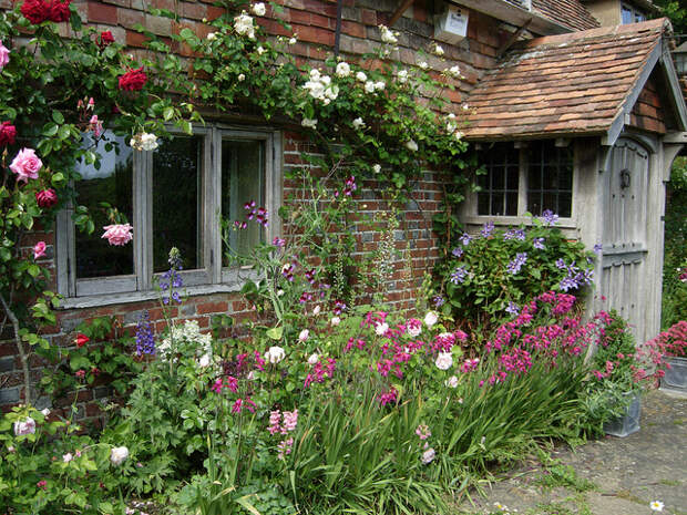 An English cottage garden June 2010