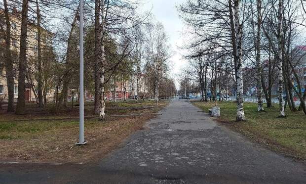 Глава Архангельска проголосовал за объект для благоустройства на 2027 год