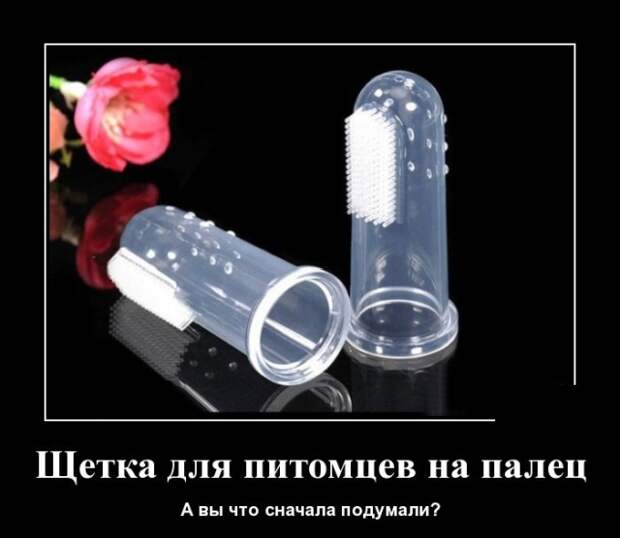 Демотиваторы (30 фото)