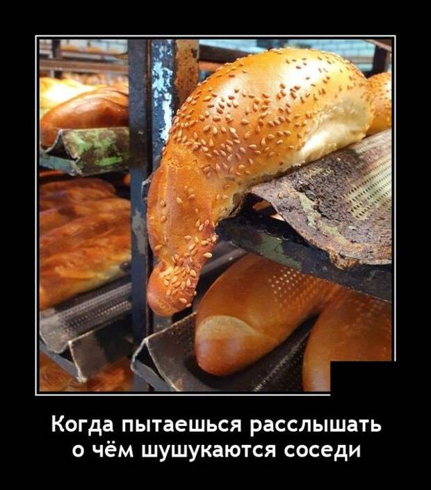 Демотиватор про соседей