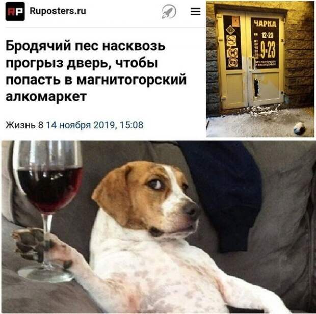 Приколы про алкоголь после прошедших выходных