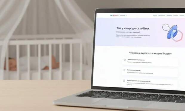 Цифровые сервисы упростили жизнь молодым родителям в Архангельской области