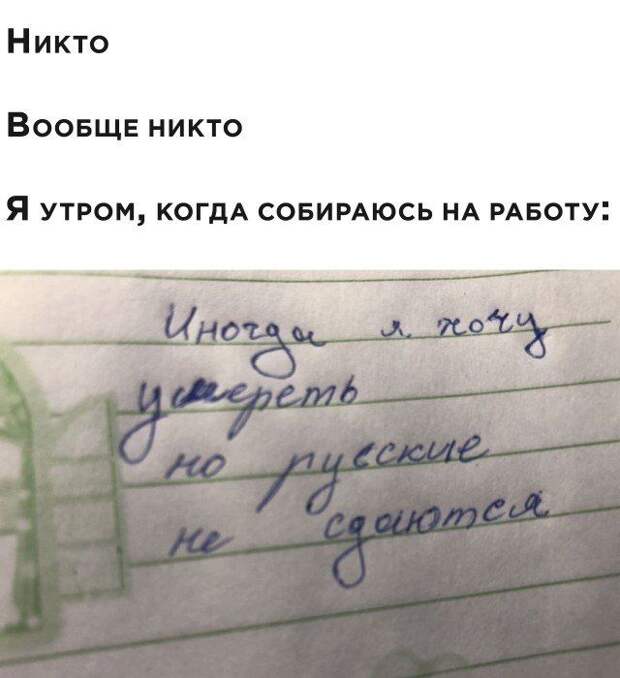 203560_17_trinixy_ru.jpg