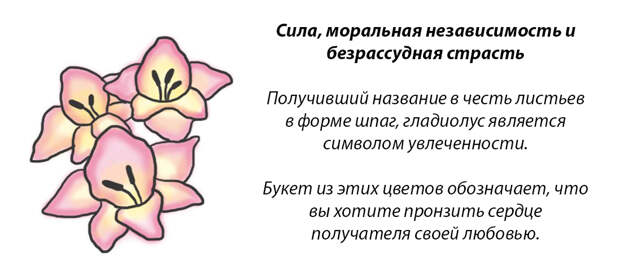 У каждого месяца есть цветок-покровитель. Какой он у вас?