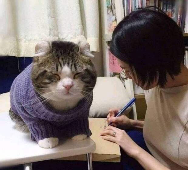 Удивительные размеры некоторых животных