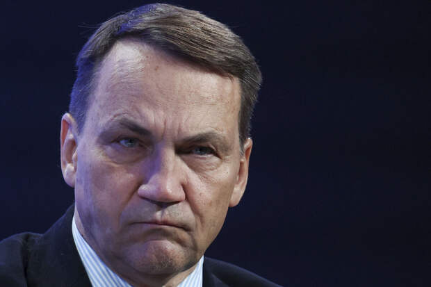 Глава МИД Польши Сикорский: ЕС нужно относиться к РФ серьезно, но без паники