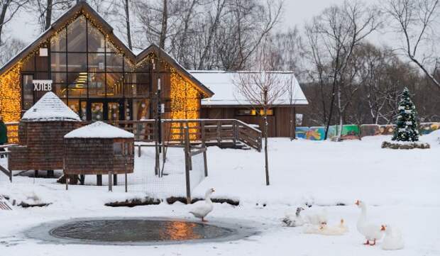 День семейного счастья отметят на ВДНХ 3 февраля