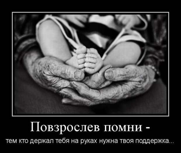 Демотиваторы (30 фото)