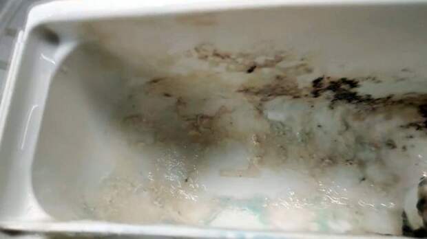 Как быстро отмыть лоток стиралки с самыми стойкими отложениями,