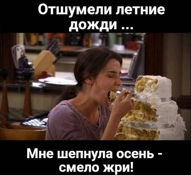 По традиции с 1 сентября принято прощаться с хорошей фигурой  листья, осень, печаль, прикол, юмор