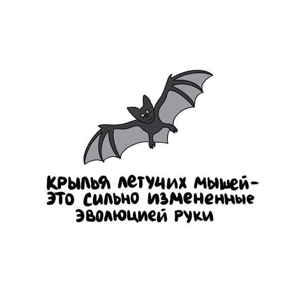 Короткие и интересные факты на все случаи жизни
