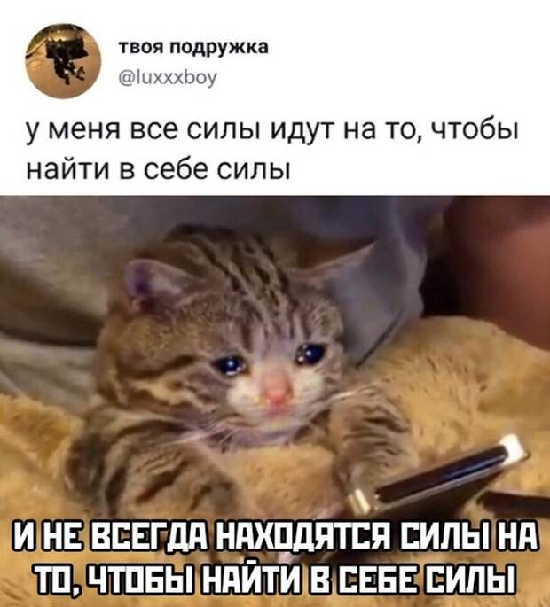 Смешные картинки 4 ноября 2021 года