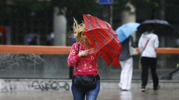 Жителей Москвы и области предупредили о граде, грозе и сильном ветре в воскресенье