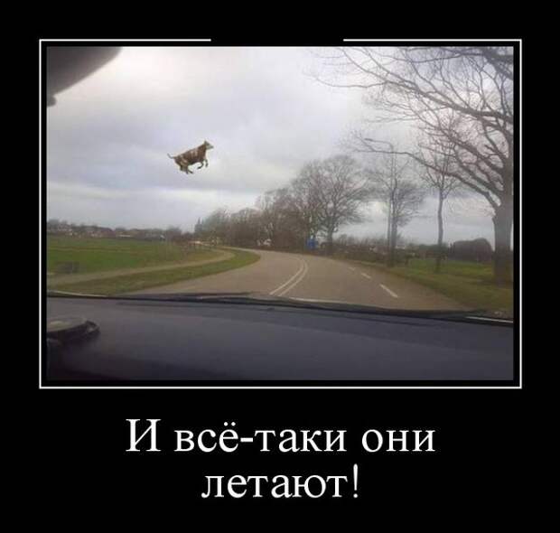 Демотиваторы (30 фото)
