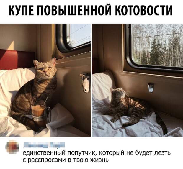 Подборка картинок. Вечерний выпуск (30 фото)
