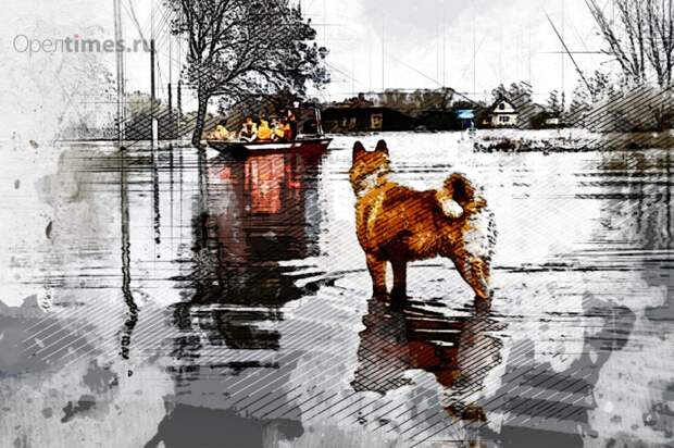 В Орловской области паводок затопил первую деревню